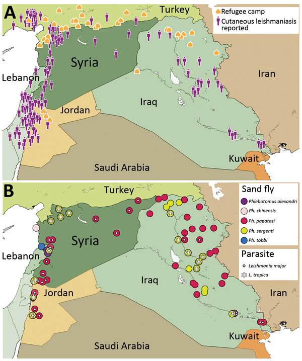 A map showing disease and sand fly distribution and refugee population in and around Syria.
